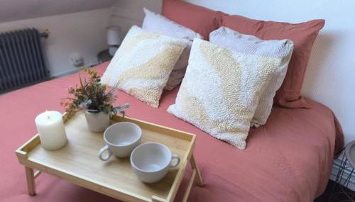 LeRelaisdOdile - Suite Studios Confort - Idéal PRO & Couple - LILLE VAUBAN - Foto 1