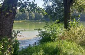 Domki Nad Jeziorem Karłowice - Foto 49
