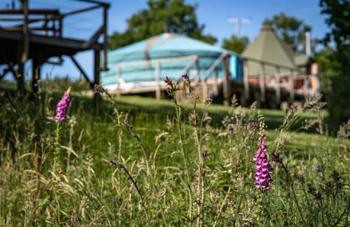 Dartmoor Eco-Pod - Oak Tree Lane - Foto 11