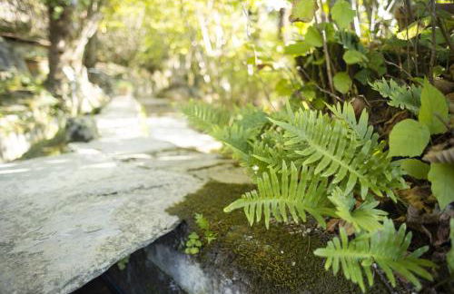 Casale Amati Country House - Photo 26