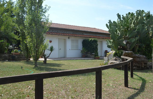 Tenuta Di Pontesodo - Foto 16