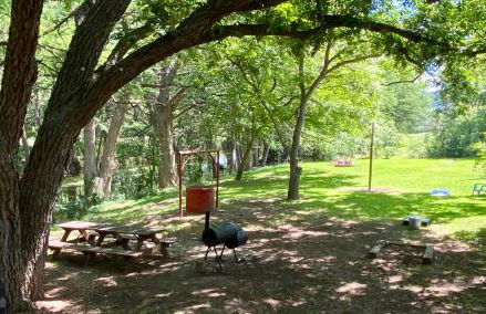 Sparkling Frio - Foto 23