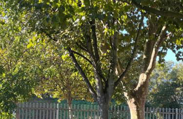 Mona's Home - Foto 34