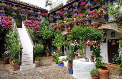 La Terraza de Córdoba | AT Córdoba - Foto 36