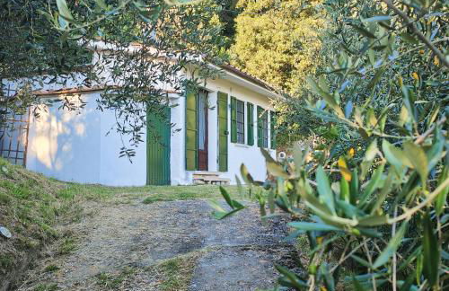 Massaciuccoli Romana - Foto 27