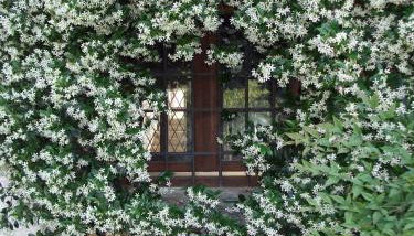 Agriturismo Cascina Rossano - Foto 5