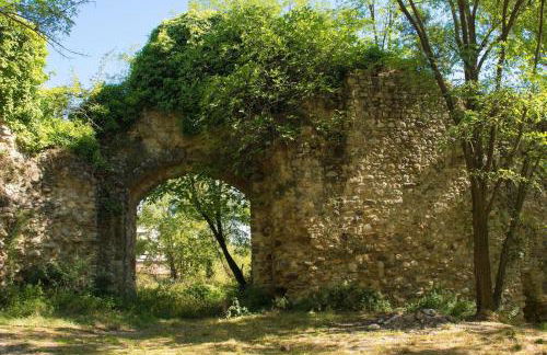 Casa Sofi - Happy Rentals - Foto 44