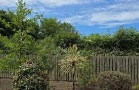 Quilly Farm House - North Coast - Entire House, near Castlerock, Coleraine, Beach walks, countrywalks, golf courses - Foto 11