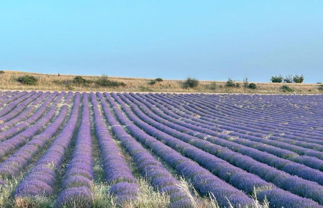 A Beautiful 2 Persons Studio in a Chateau With Swimming Pool - Foto 80