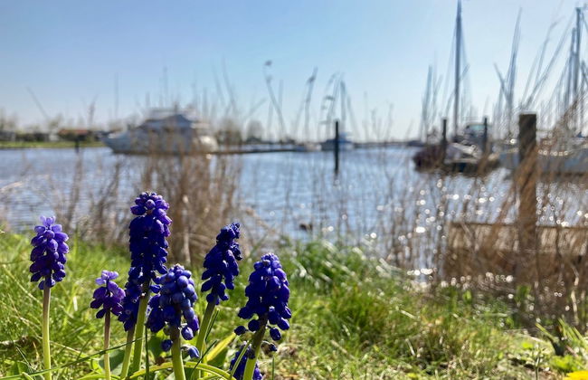 2 Pers - House König Lakeside of the Lauwersmeer With own Fishing Pier Sauna - Foto 22