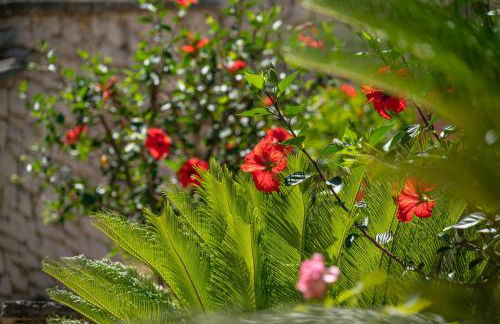 Takis House in Katavolos - Foto 70