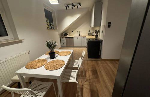 Szczecin Mierzyn Windmill - Foto 2