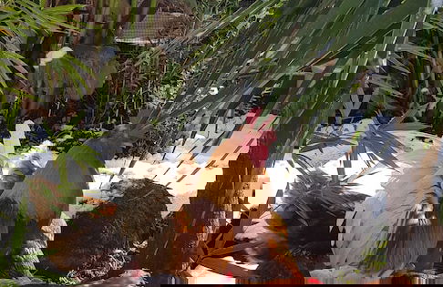 Original Sicily House - Foto 58