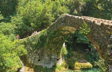 Maison au calme absolue - Foto 79