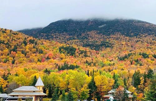 1800OR Unique 'yurt' home in Bretton Woods 1 mi to skiing firepit foosball beach Hot tub - Foto 104