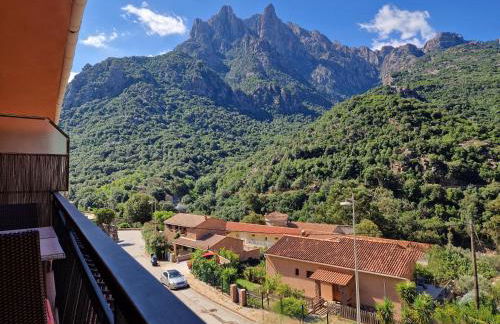 T2 vue mer & montagne Golfe de Porto-Ota - Foto 36