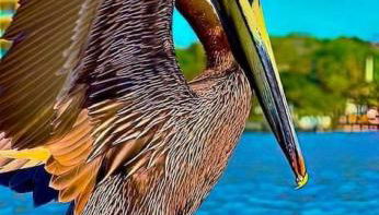 Itz a Vibe - 1 bedroom studio in the heart of DTSP - Foto 5