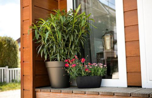 Hof Eichendiek Time Out Village - Foto 6