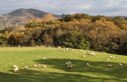 Maison typique Basque en pleine campagne - Foto 3