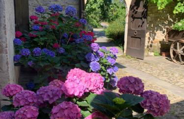 Agriturismo Casa Gianino - Foto 11