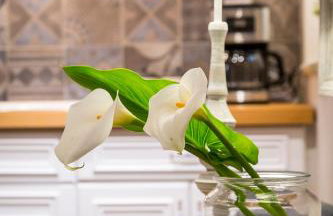 lianelia boutique village house - Foto 15