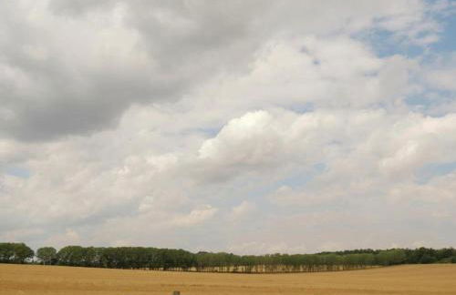 Nature Escape in Meisdorf - Foto 33