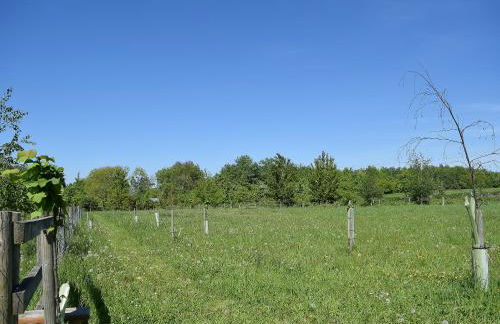 The Lodge At Elmley Meadow - Foto 17