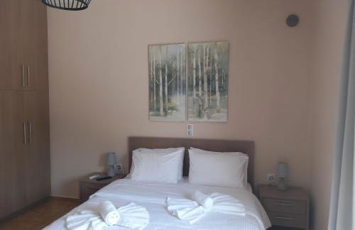 Giannis Villa - Photo 40