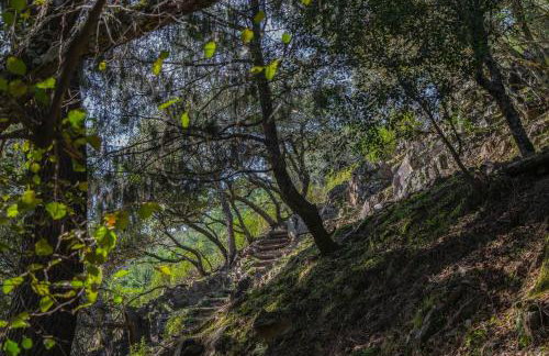 Villamaría, Alma de Despeñaperros - Foto 29