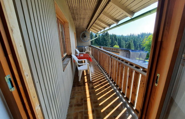 Holiday Home in Neureichenau Near Bavarian Forest - Foto 33