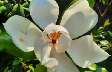 En bord de rivière - Foto 60