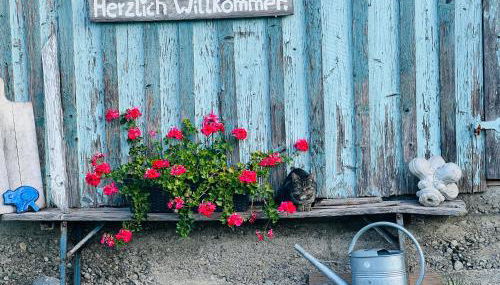 Ferienwohnungen Britta Heim - Photo 3, Garden