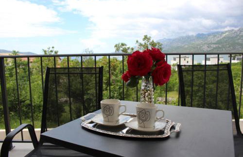 Apartments Bonaca Rovanjska - Foto 25