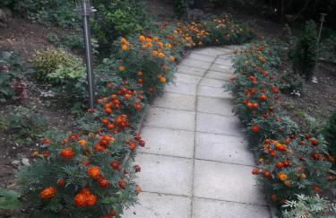 Waldhütte am See - Foto 12