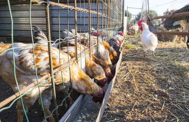 Villa Belvedere - Foto 25