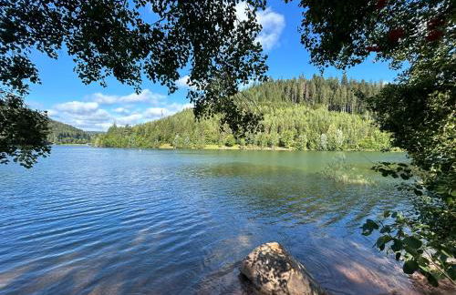 Kuckucksnest - Ferienwohnung mit Traumblick im Schwarzwald - Foto 36