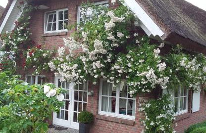 5 Sterne Reetdachhaus Wildröschen - Foto 16