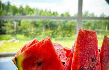 Siedlisko Błotnia - Foto 42