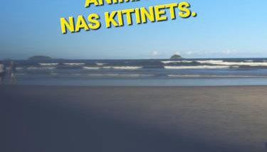 Kitnet Puro Dengo - Foto 2