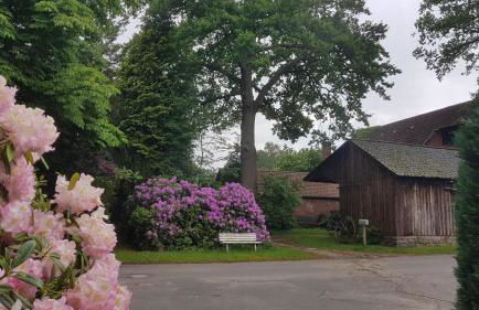 Ferienhaus Corinna Bisping - Foto 11