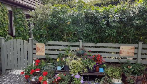 Oakey Orchard - cosy apartment in Tamar Valley, Cornwall - Foto 2