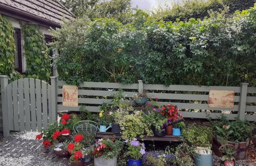 Oakey Orchard - cosy apartment in Tamar Valley, Cornwall - Photo 2