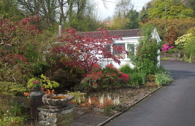 Cwmbach Cottages - Foto 77