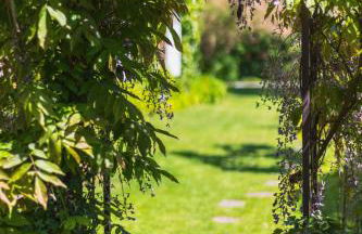 Gîte du Rouard - Foto 38