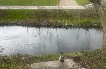 VillaKrocker - ElbeRadweg trifft WandKunstwerk - Photo 41