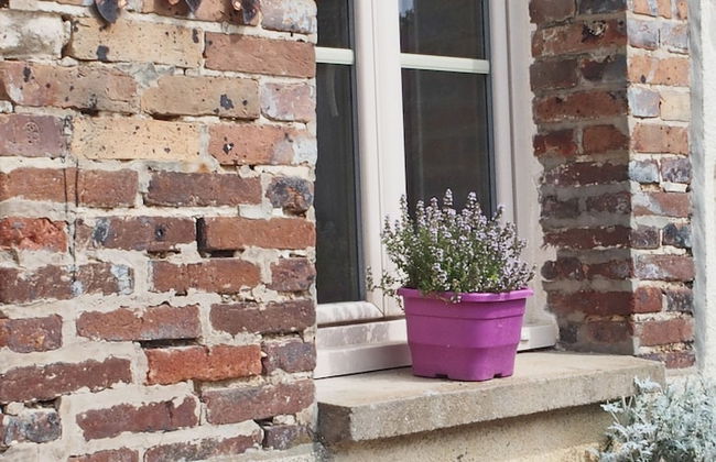 La Ferme de Flo' - Foto 74