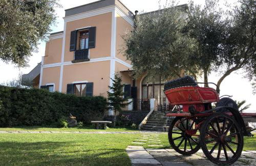 Domus Agricolae Corallina - Foto 10