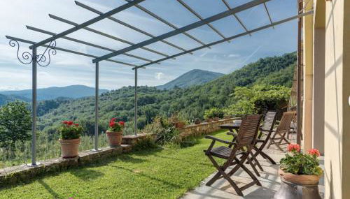 Villa Porcigliano Olive Grove - Foto 4