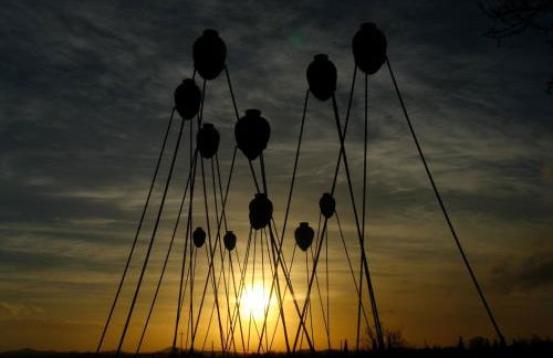 Fattoria la Loggia - Foto 76