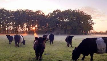 Gästesuite „Torfstich“ - Foto 3